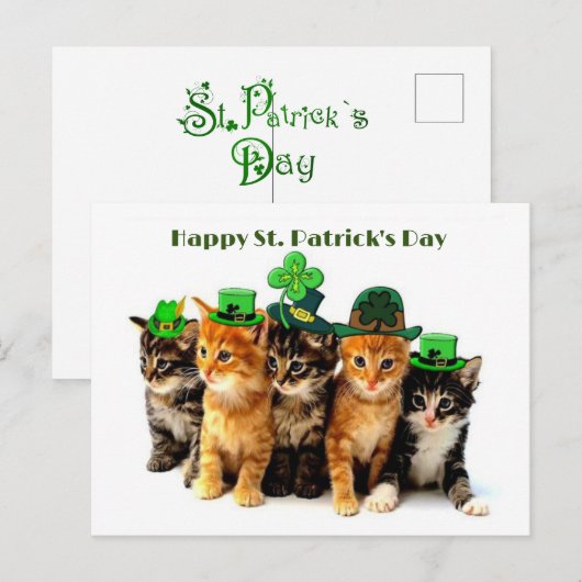 Happy St. Patrick's day cats briefkaart (Voorkant / Achterkant)