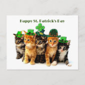 Happy St. Patrick's day cats briefkaart (Voorkant)