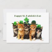 Happy St. Patrick's day cats uitnodiging (Voorkant)