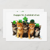 Happy St. Patrick's day cats uitnodiging (Voorkant / Achterkant)