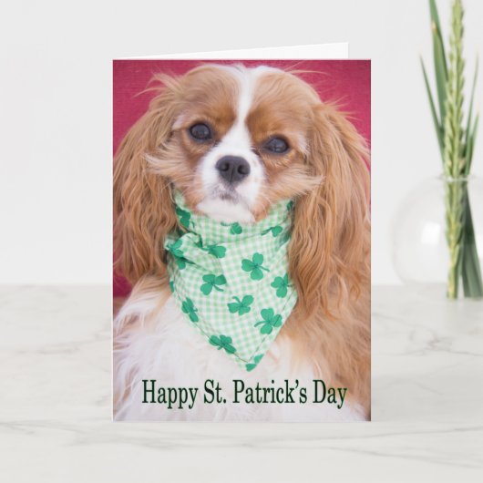 Happy St. Patrick's Day Cavalier King Charles Pup Kaart (Voorkant)