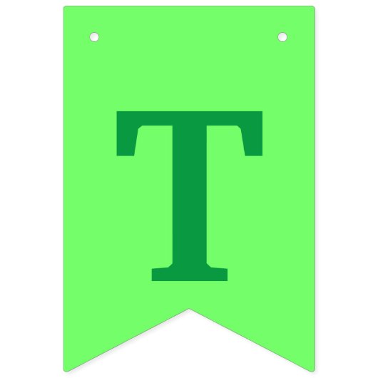 Happy St. Patrick's Day Celebration Banner (Derde vlag)