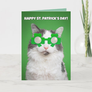 Happy St. Patrick's Day Cute Cat Feestdagen Kaart