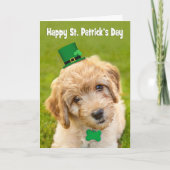 Happy St. Patrick's Day Cute Labradoodle iDog Feestdagen Kaart (Voorkant)