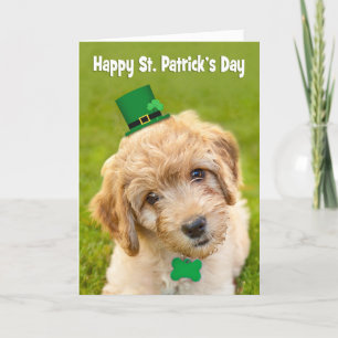 Happy St. Patrick's Day Cute Labradoodle iDog Feestdagen Kaart