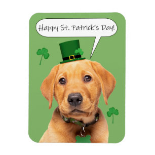 Happy St Patrick's Day Cute Labrador Puppy Magneet