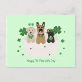 Happy St Patricks Day Dog Mail Briefkaart (Voorkant)