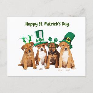 Happy St. Patrick's Day dogs Feestdagenkaart