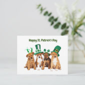 Happy St. Patrick's Day dogs Feestdagenkaart (Staand voorkant)
