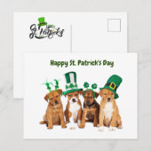 Happy St. Patrick's Day dogs Feestdagenkaart (Voorkant / Achterkant)
