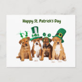 Happy St. Patrick's Day dogs Feestdagenkaart (Voorkant)