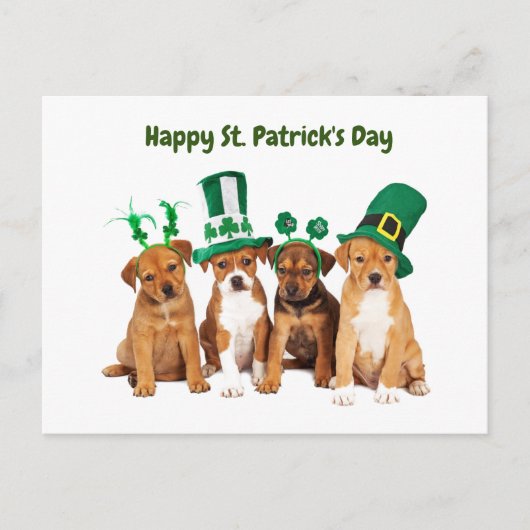 Happy St. Patrick's Day dogs Feestdagenkaart (Voorkant)