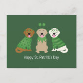Happy St Patricks Day Golden Retriever Honden Briefkaart (Voorkant)