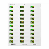 Happy St. Patrick's Day Katten Etiket (Full Sheet)