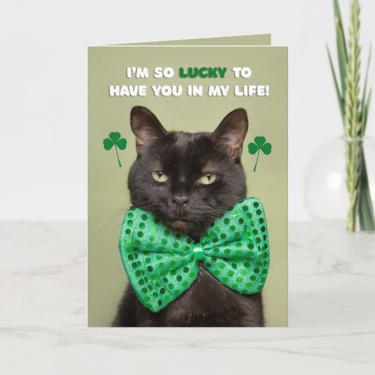 Happy St. Patrick's Day Lucky Black Cat Humor Feestdagen Kaart (Voorkant)