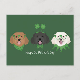 Happy St Patricks Day Maltipoo Honden Briefkaart