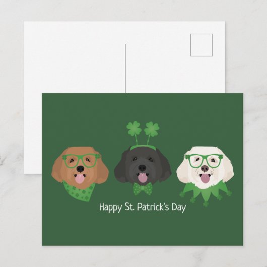 Happy St Patricks Day Maltipoo Honden Briefkaart (Voorkant / Achterkant)