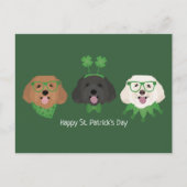Happy St Patricks Day Maltipoo Honden Briefkaart (Voorkant)