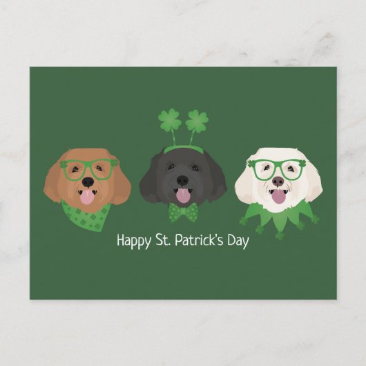 Happy St Patricks Day Maltipoo Honden Briefkaart (Voorkant)