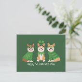 Happy St Patricks Day Pembroke Welsh Corgi Dogs Briefkaart (Staand voorkant)