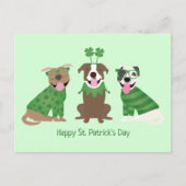 Happy St Patricks Day Pit Bull Dogs Briefkaart (Voorkant)