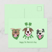 Happy St Patricks Day Pit Bull Dogs Briefkaart (Voorkant / Achterkant)