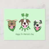 Happy St Patricks Day Pit Bull Dogs Briefkaart (Voorkant)
