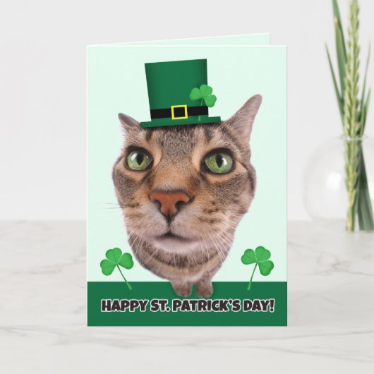 Happy St. Patrick's Day voor iedereen Cat Humor Feestdagen Kaart (Voorkant)