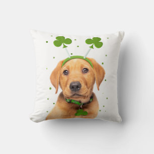 Happy St Patricks Day voor iedereen die in de hoof Kussen
