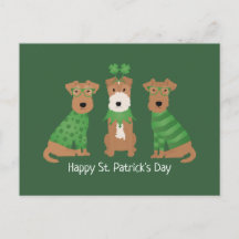 Happy St Patricks Day Welsh Wire Fox Terrier Honde