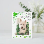 Happy St. Patrick's Day, Westie Dog is klaar Briefkaart (Staand voorkant)