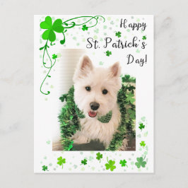 Happy St. Patrick's Day, Westie Dog is klaar Briefkaart