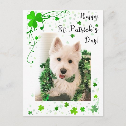 Happy St. Patrick's Day, Westie Dog is klaar Briefkaart (Voorkant)