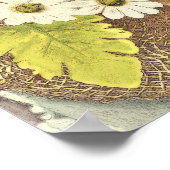 Happy St. Patrick's Day White Flowers Poster (Hoek)