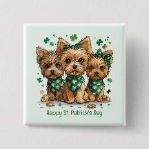Happy St. Patrick's Day Yorkshire Terriër Honden