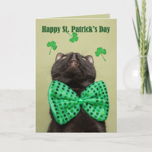 Happy St. Patrick's for any Day Cat in Bow Stropda Feestdagen Kaart
