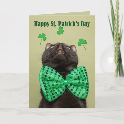 Happy St. Patrick's voor iedereen Dag Cat in Bow S Feestdagen Kaart (Voorkant)