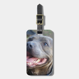 Happy Staffordshire Bull Terrier Bagagelabel