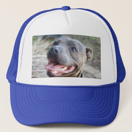 Happy Staffordshire Bull Terrier, Pet (Voorkant)
