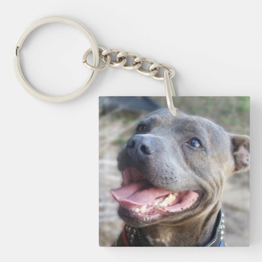 Happy Staffordshire Bull Terrier Sleutelhanger (voorkant)