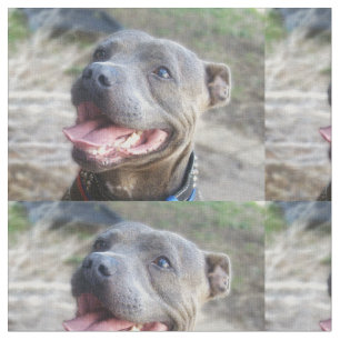Happy Staffordshire Bull Terrier Stof