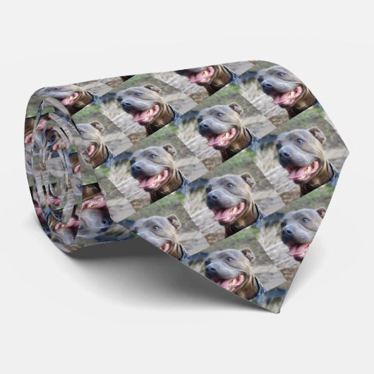 Happy Staffordshire Bull Terrier, Stropdas (Opgerold)