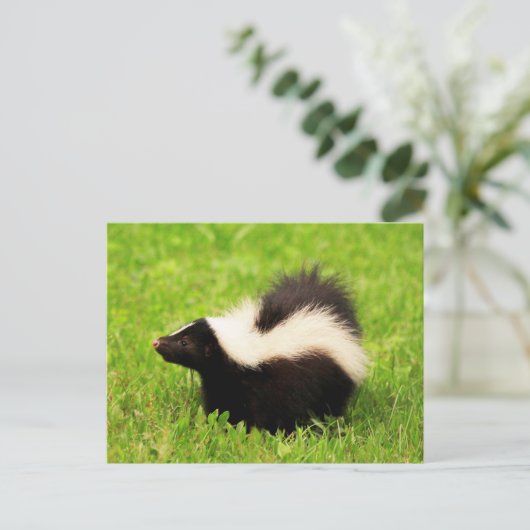 Happy Striped Skunk Briefkaart (Staand voorkant)