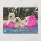 Happy Summer! Briefkaart (Voorkant)