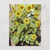 Happy Sunflower Briefkaart (Voorkant)