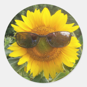 Happy Sunflower met zonnebril sticker