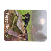 Happy Sunset Goats Birthday Magneet (Horizontaal)