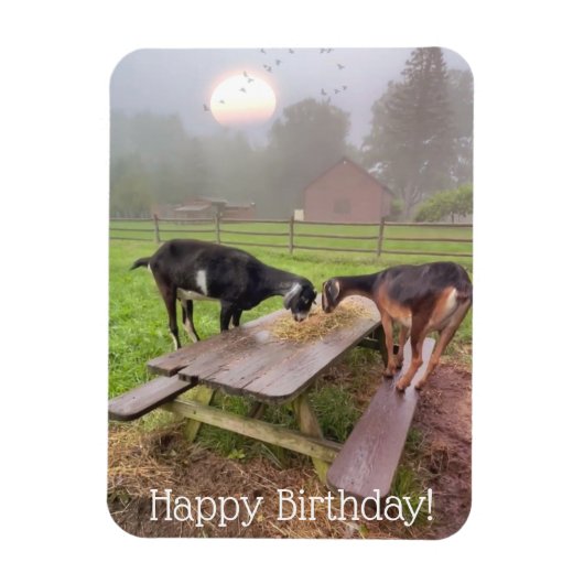 Happy Sunset Goats Birthday Magneet (Verticaal)