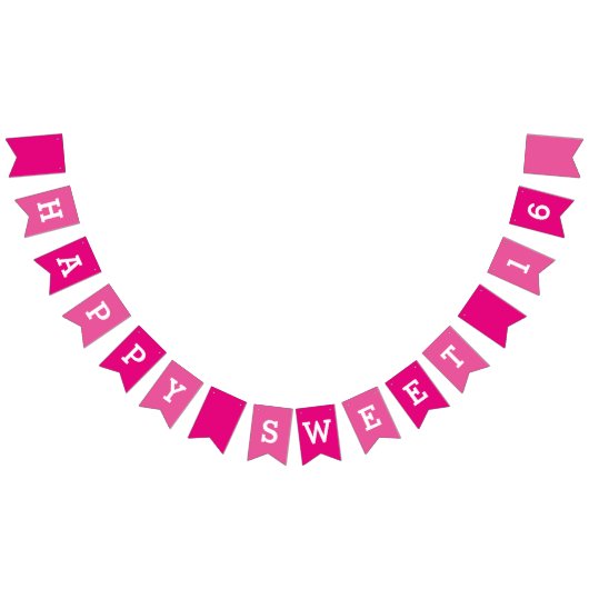 Happy Sweet 16th Birthday Party Bunting Banner (Alle)