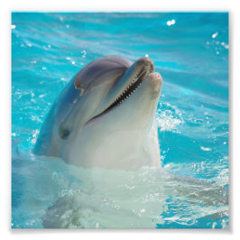 Happy Swimming Dolphin Foto Afdruk